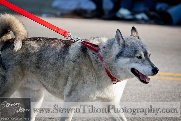 Rolesville Christmas Parade