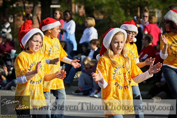 Rolesville Christmas Parade