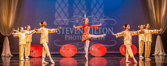 Destiny Winter Gala 2013