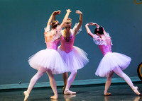 DDI Winter Gala III
