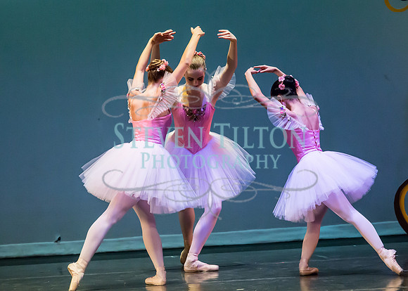 DDI Winter Gala III
