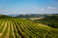 Agriturismo Il Vecchio Maneggio