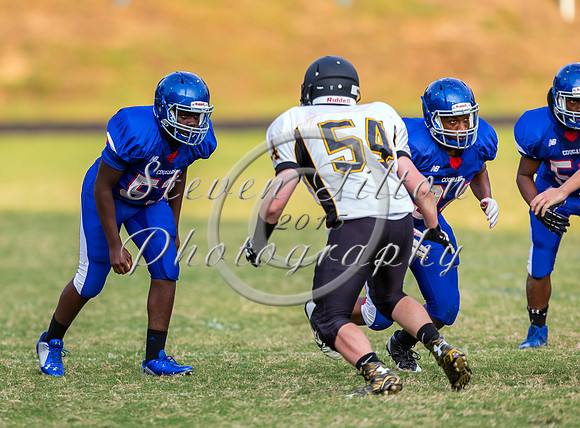 Apex @ Wake Forest JV Football