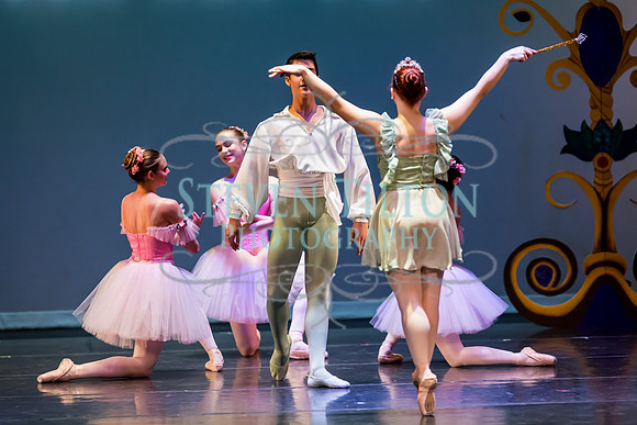 DDI - A Winter Gala