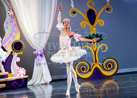 DDI - A Winter Gala