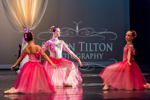 DDI - A Winter Gala