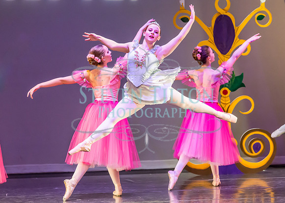DDI Winter Gala III