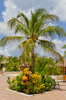 Cozumel Mexico