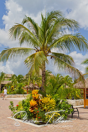 Cozumel Mexico