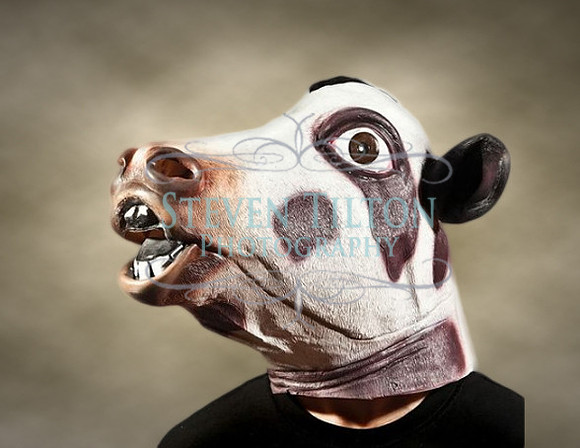 Photobooth Masks