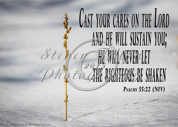 Psalms 55:22