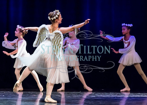 DDI Winter Gala III