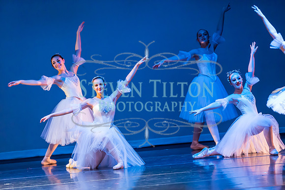 DDI - A Winter Gala