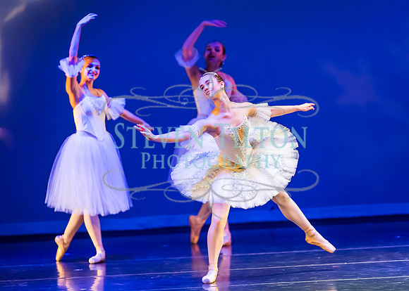 DDI - A Winter Gala