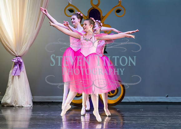 DDI Winter Gala III