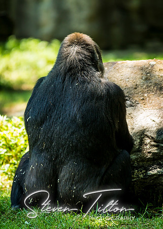 Timeout