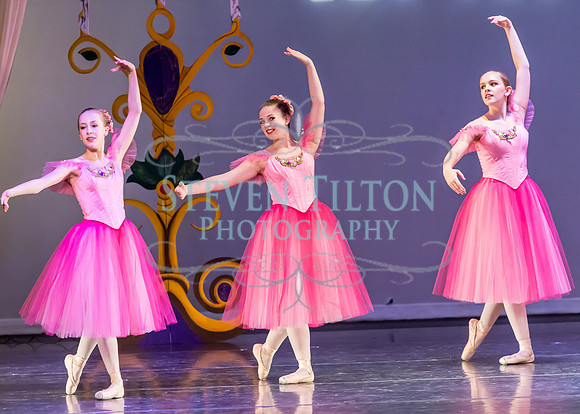 DDI Winter Gala III