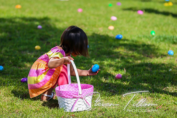 Easter Egg Hunt