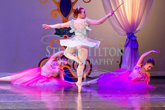 DDI Winter Gala III
