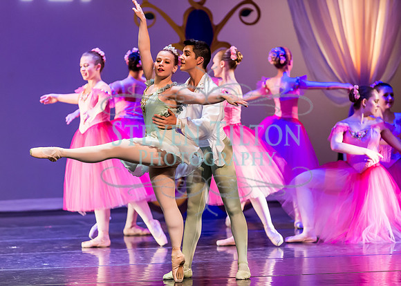 DDI - A Winter Gala