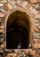 Humayun's Tomb