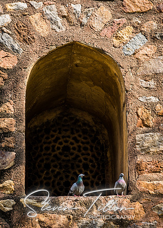Humayun's Tomb