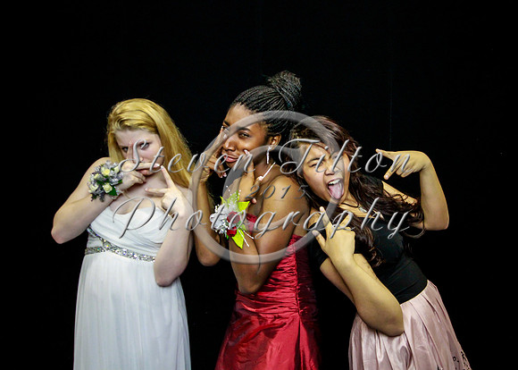 WFHS 2014 Military Ball