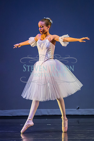 DDI Winter Gala III