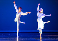 DDI - A Winter Gala