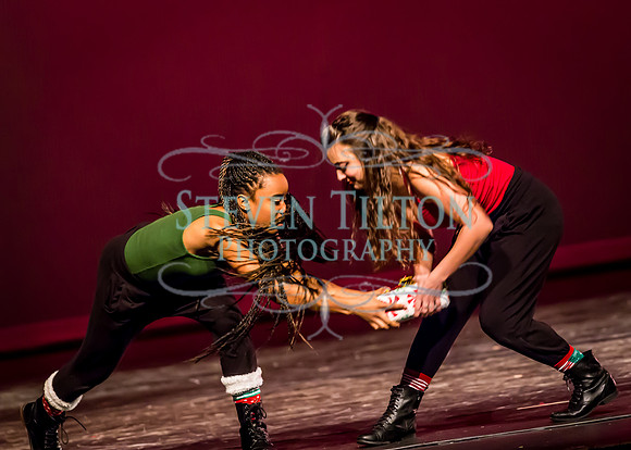 Destiny Winter Gala 2013