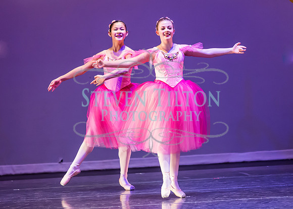 DDI - A Winter Gala