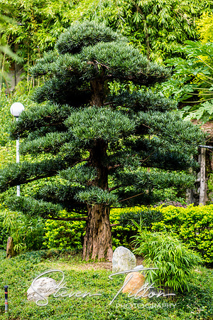 Hong Kong Travels