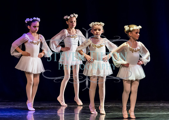 DDI Winter Gala III
