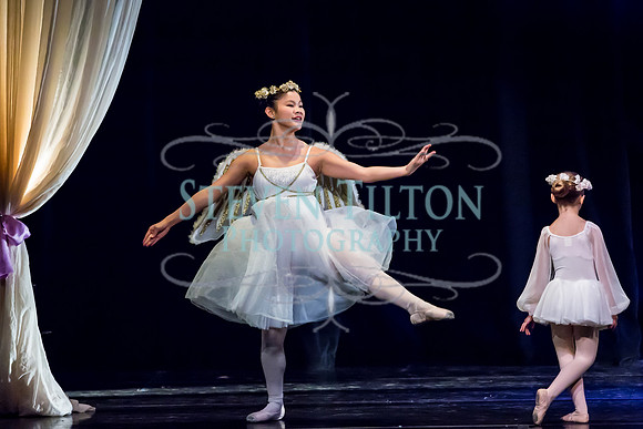 DDI Winter Gala III