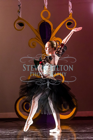DDI - A Winter Gala