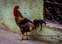 Historic Havana Cuba
