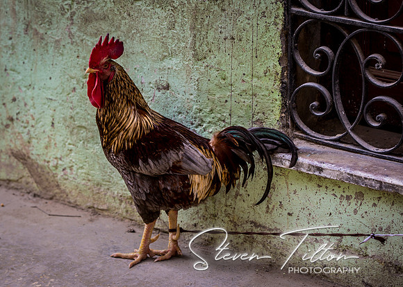 Historic Havana Cuba