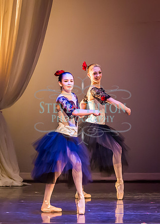 Destiny Winter Gala 2013