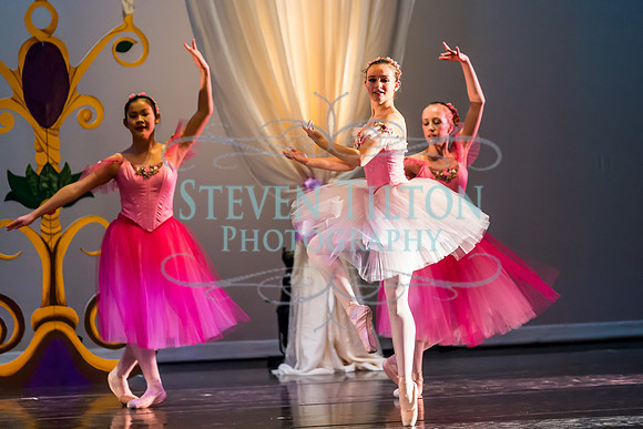 DDI - A Winter Gala