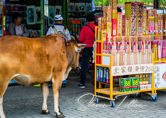 Ngong Ping Village