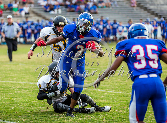 Apex @ Wake Forest JV Football