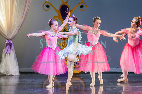 DDI Winter Gala III