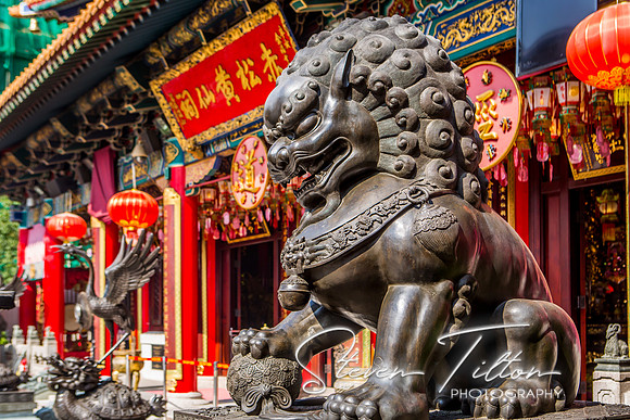 Hong Kong Travels