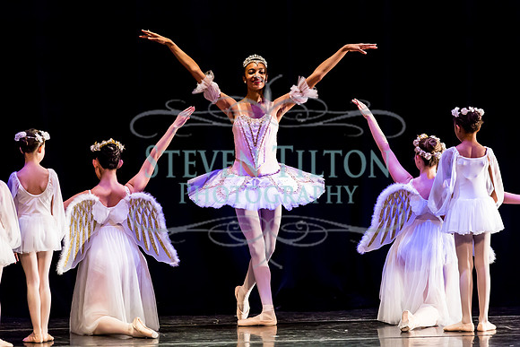 DDI Winter Gala III