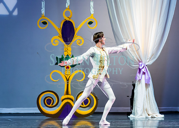 DDI - A Winter Gala