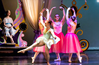 DDI - A Winter Gala