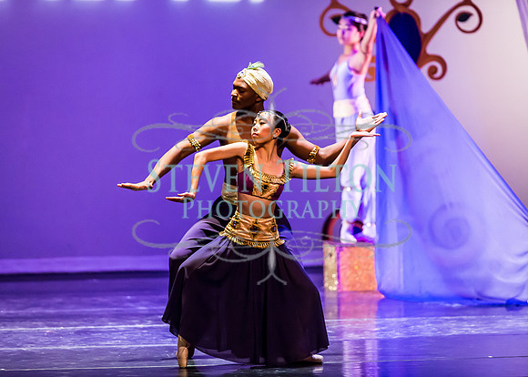 DDI - A Winter Gala