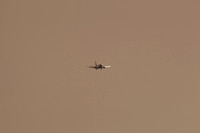 Flight