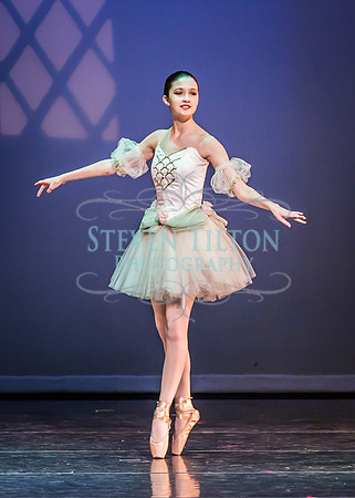 Destiny Winter Gala 2013