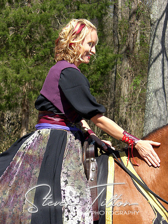 Renaissance Rider